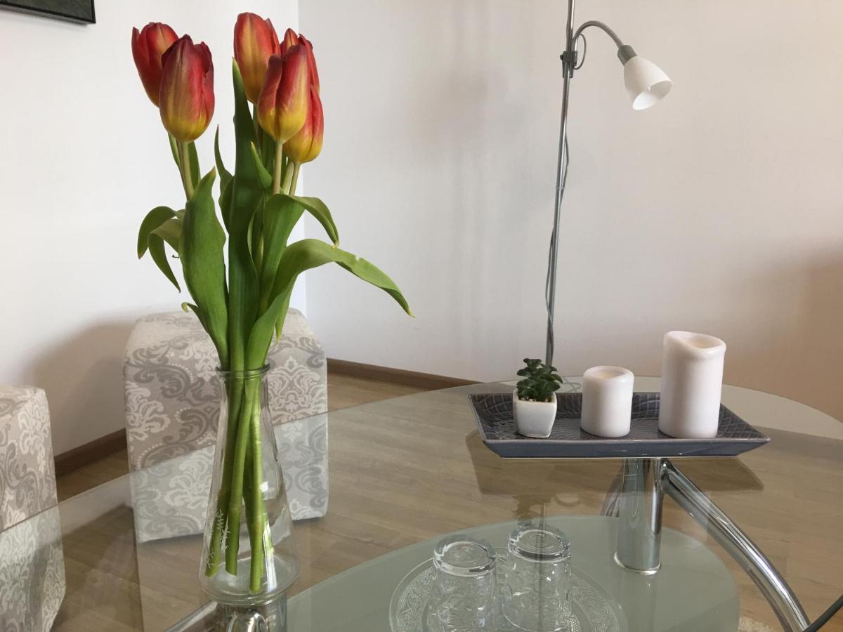Elegantza Suites Braşov Extérieur photo