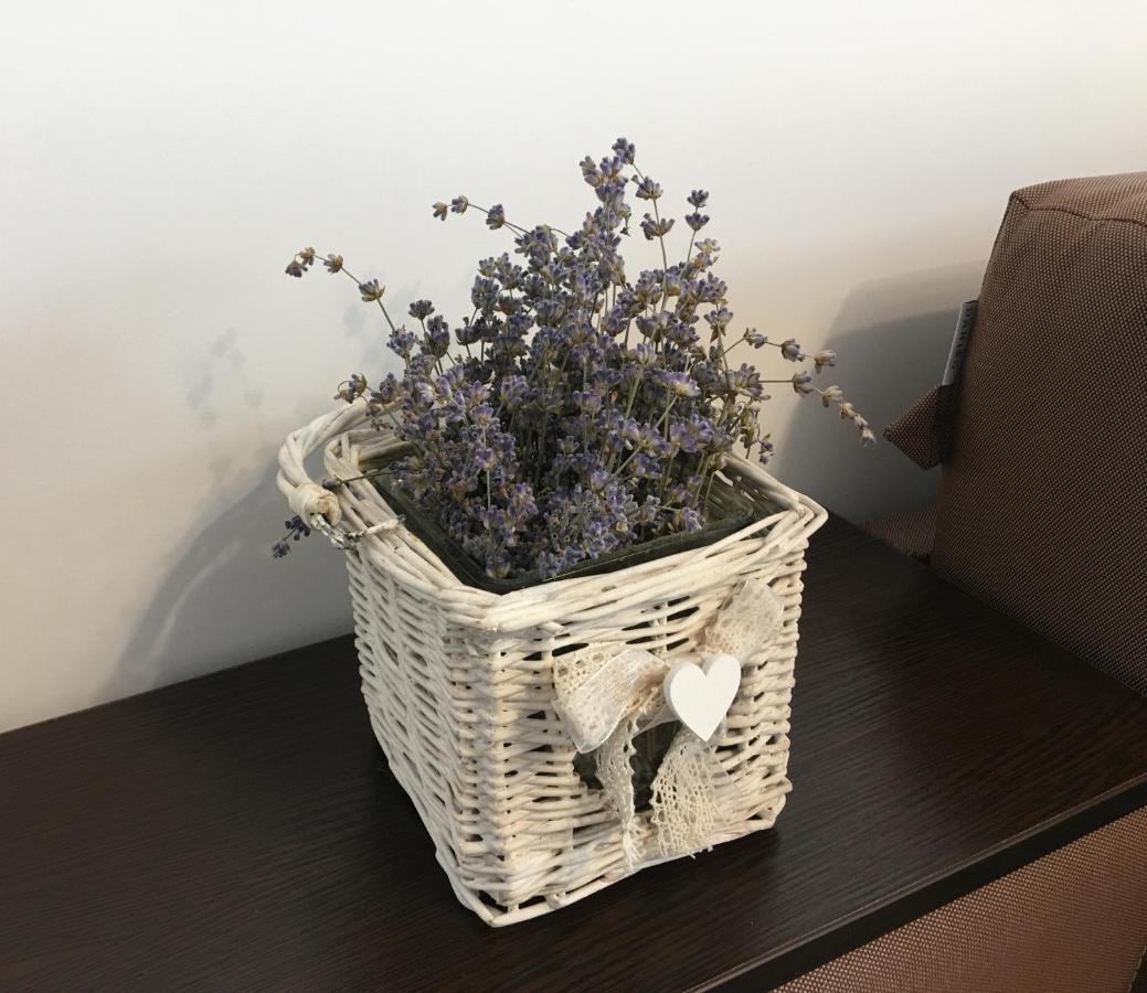 Elegantza Suites Braşov Extérieur photo